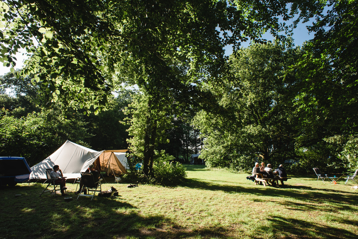 Kampeerterrein Oude Willem, ontdek het Drents-Friese Wold